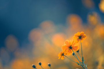 全国二本有哪些学校名单